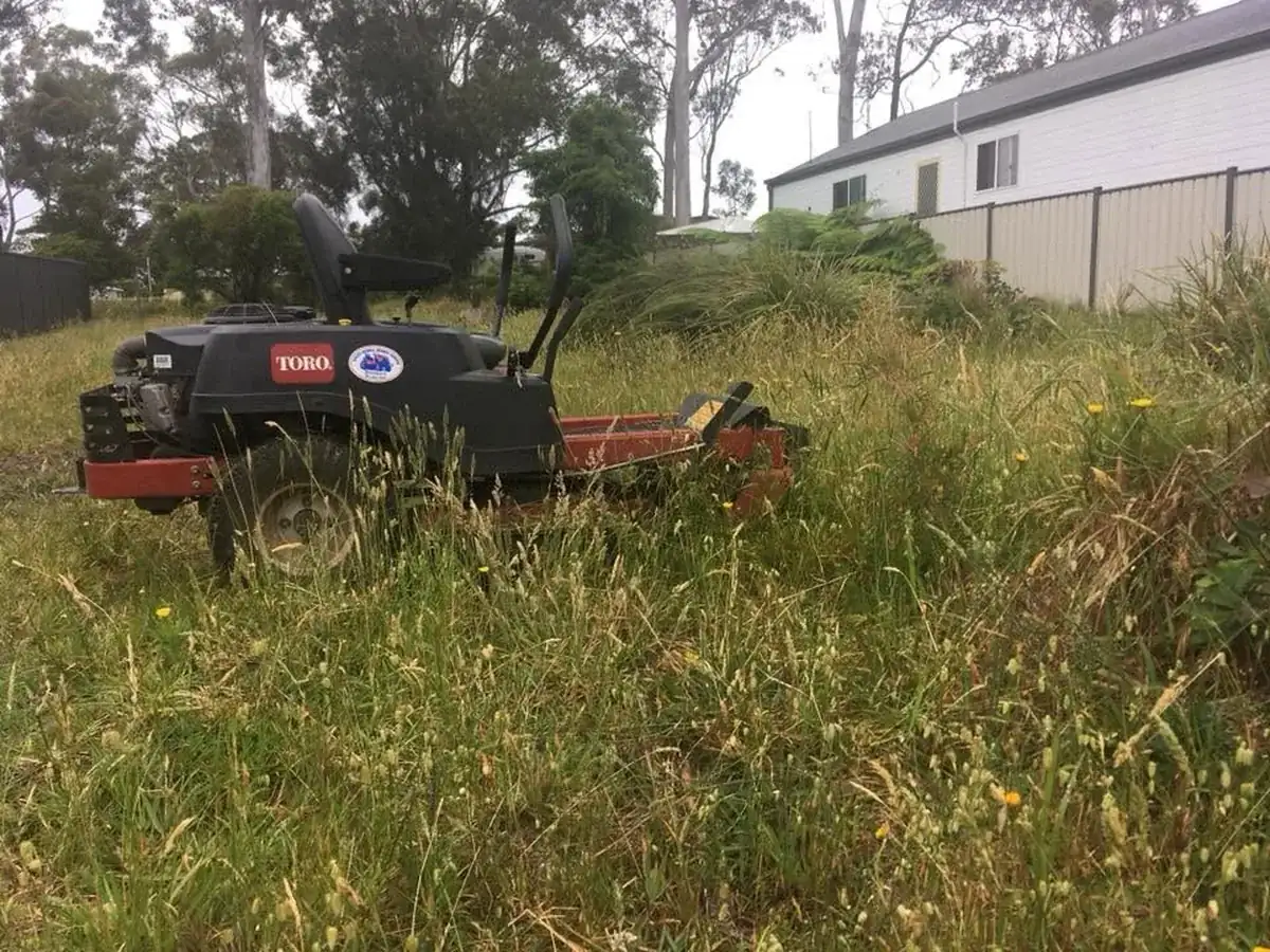 Waist-high overgrown grass with ride-on mower before property maintenance