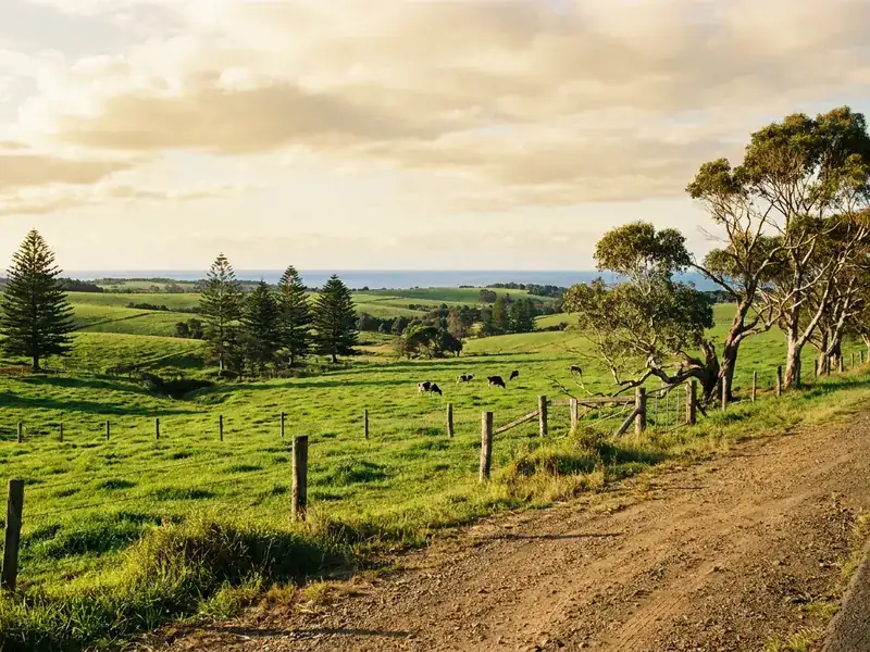 Kiama property maintenance service area