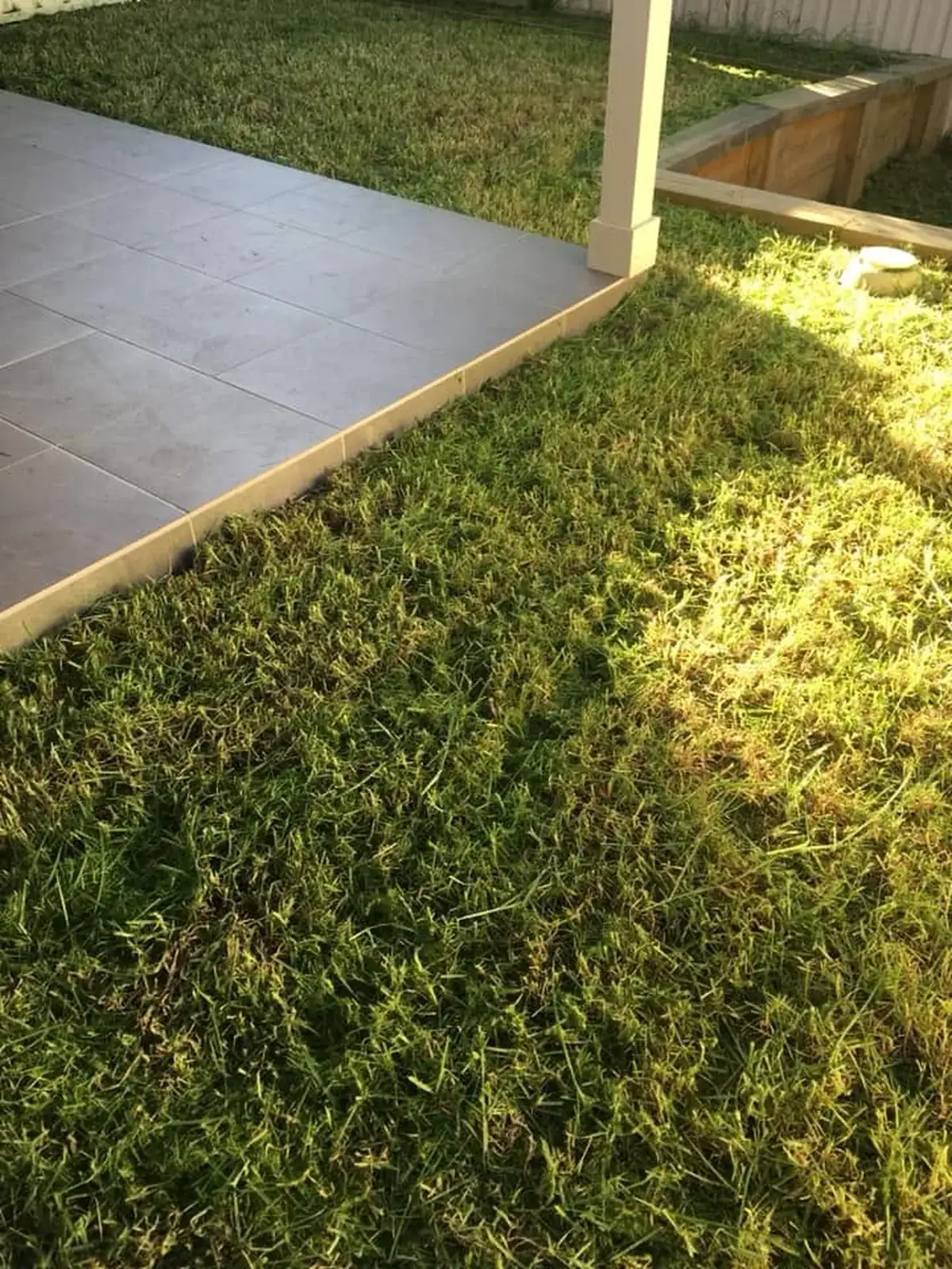 Same lawn neatly mowed after professional property maintenance