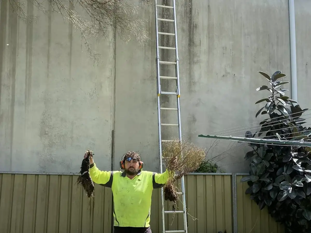 Property maintenance in the Shoalhaven by Ed's Property Maintenance