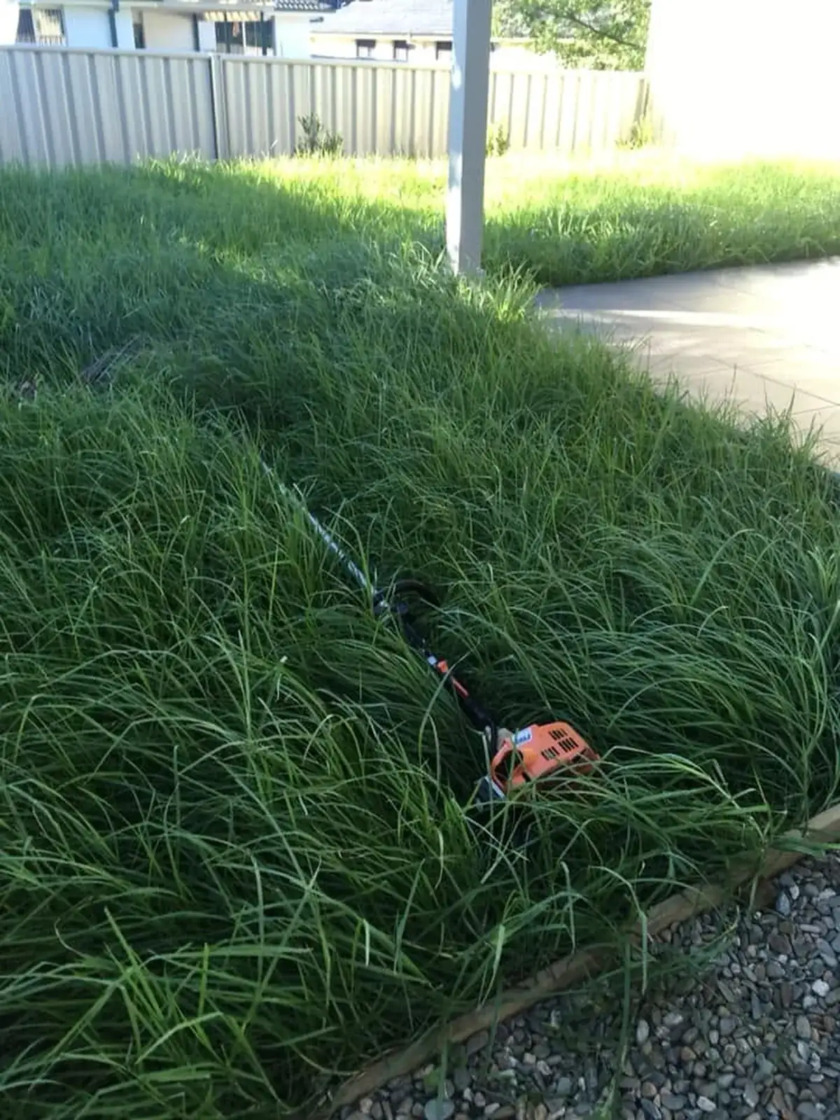 Overgrown lawn before property maintenance by Ed's Property Maintenance