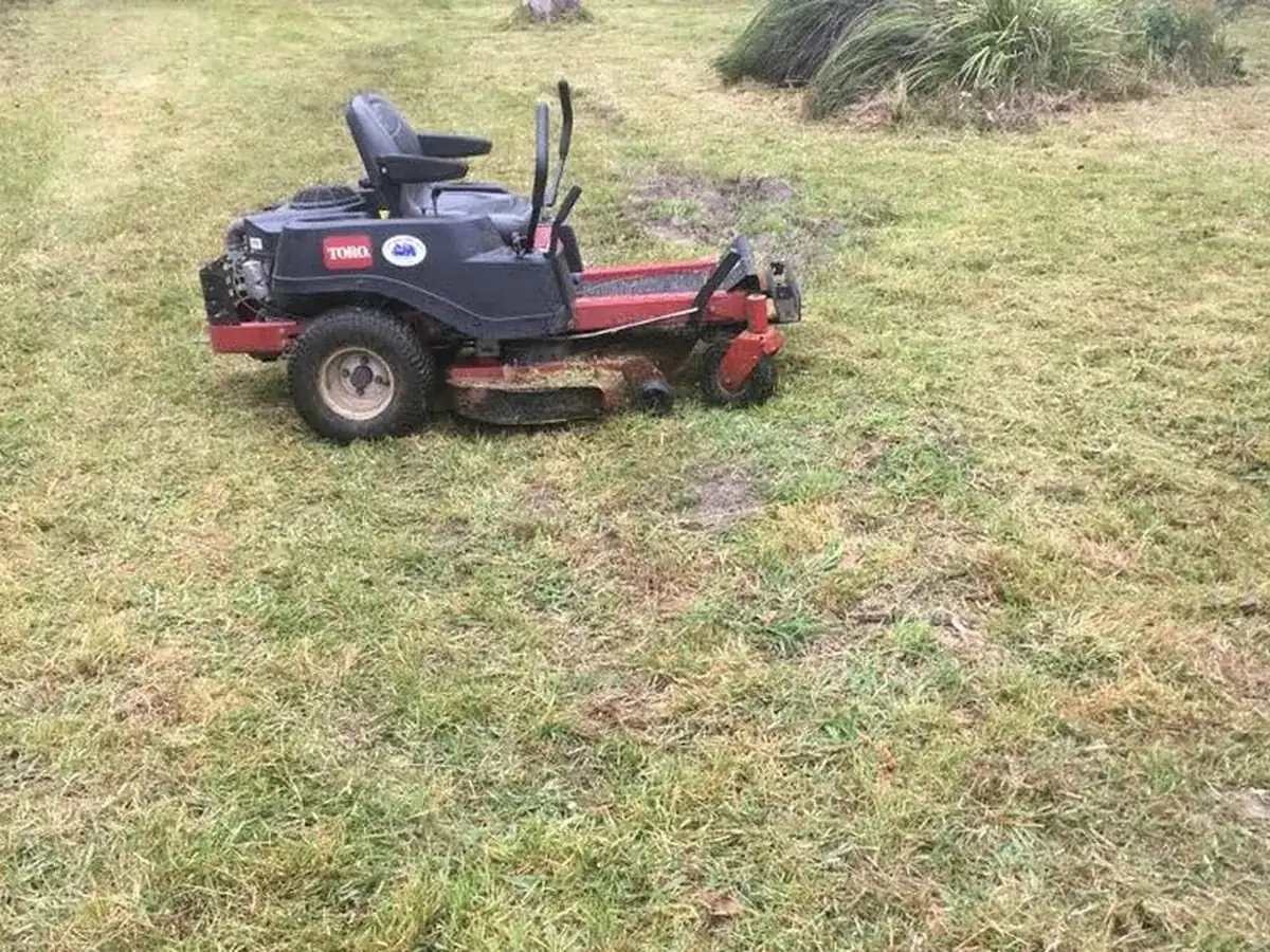 Freshly mowed lawn with ride-on mower after professional maintenance