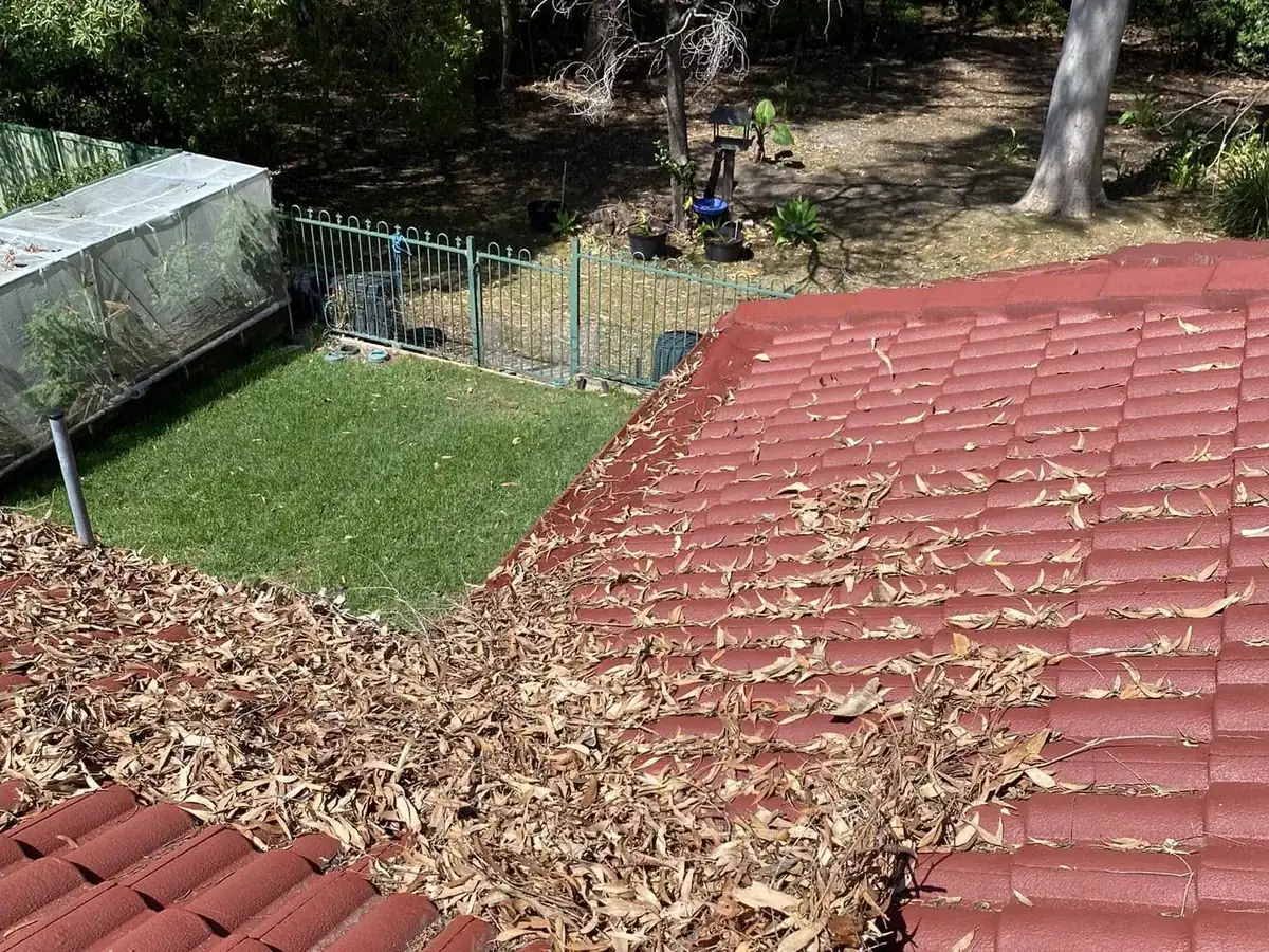 Gutter cleaning in the Shoalhaven by Ed's Property Maintenance
