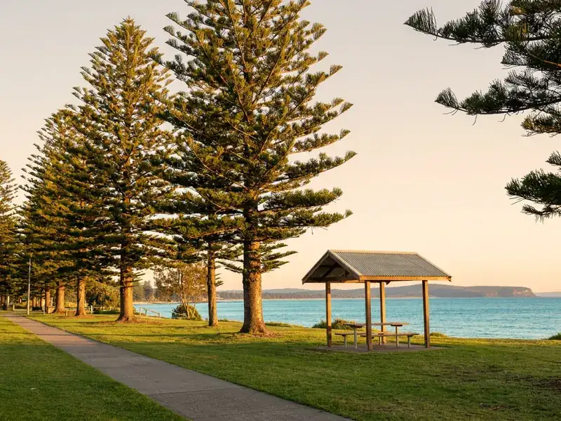 Huskisson property maintenance service area