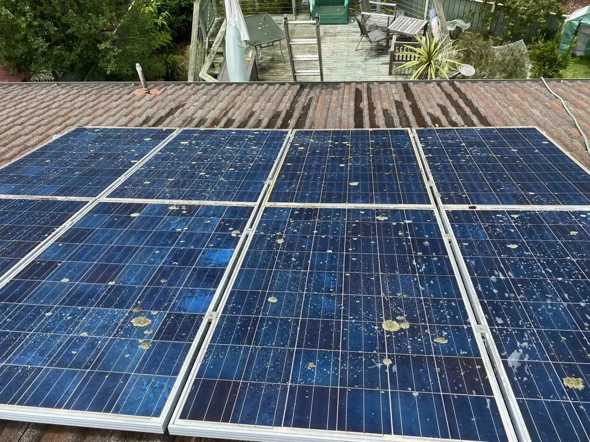 Solar panels covered in bird droppings and lichen before cleaning by Ed's Property Maintenance
